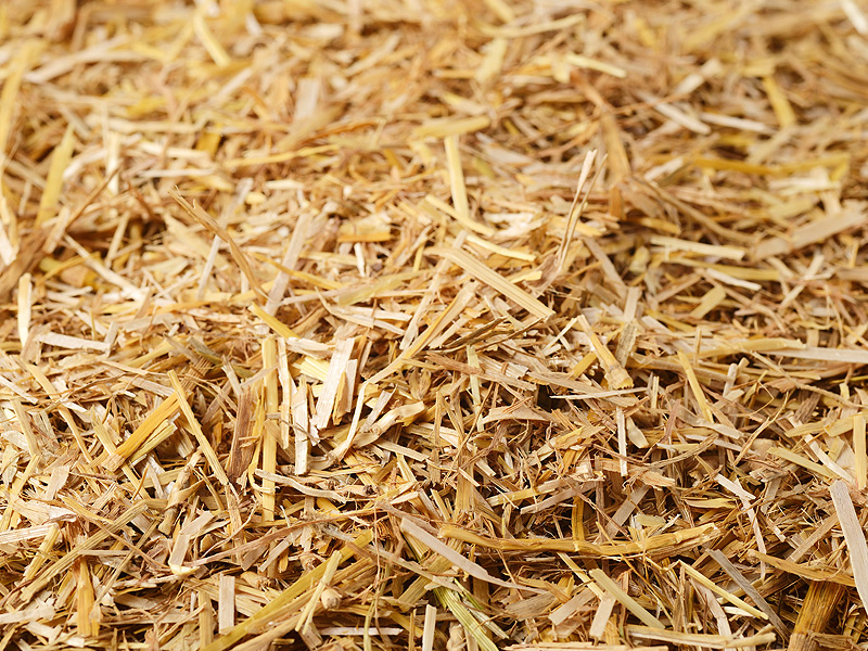 Chopped wheat straw Vestjens Straw Products
